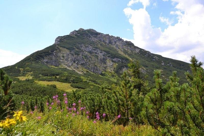 Penzion Kamzik A Drevenica Habovka Luaran gambar